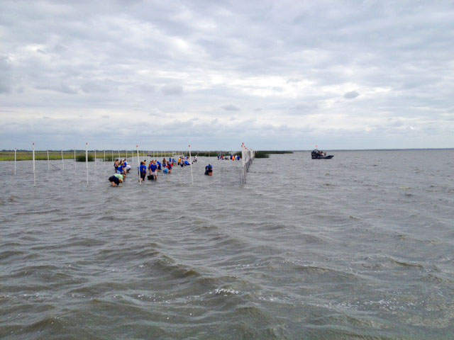 lake-volunteers